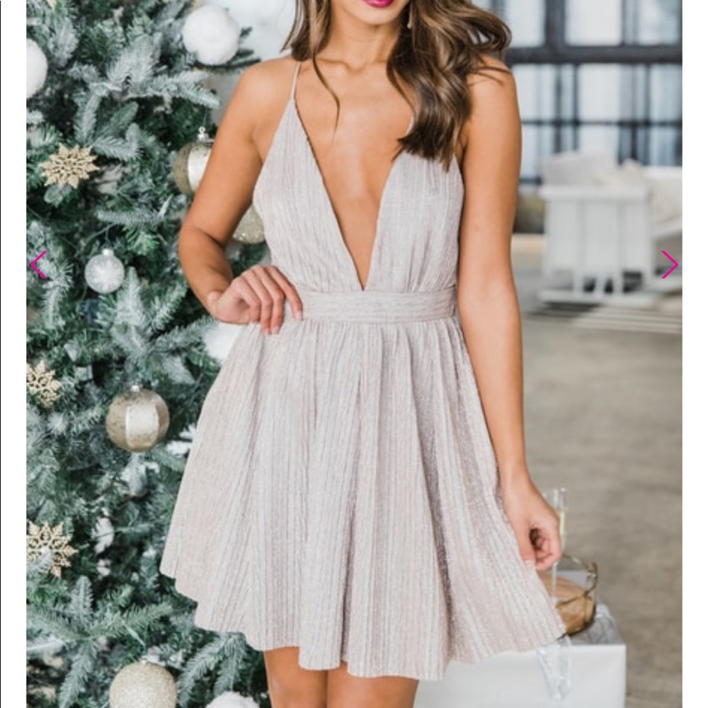 Pink Lily Brand Blush Dress